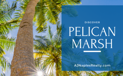 The Complete Guide to Pelican Marsh in Naples, FL