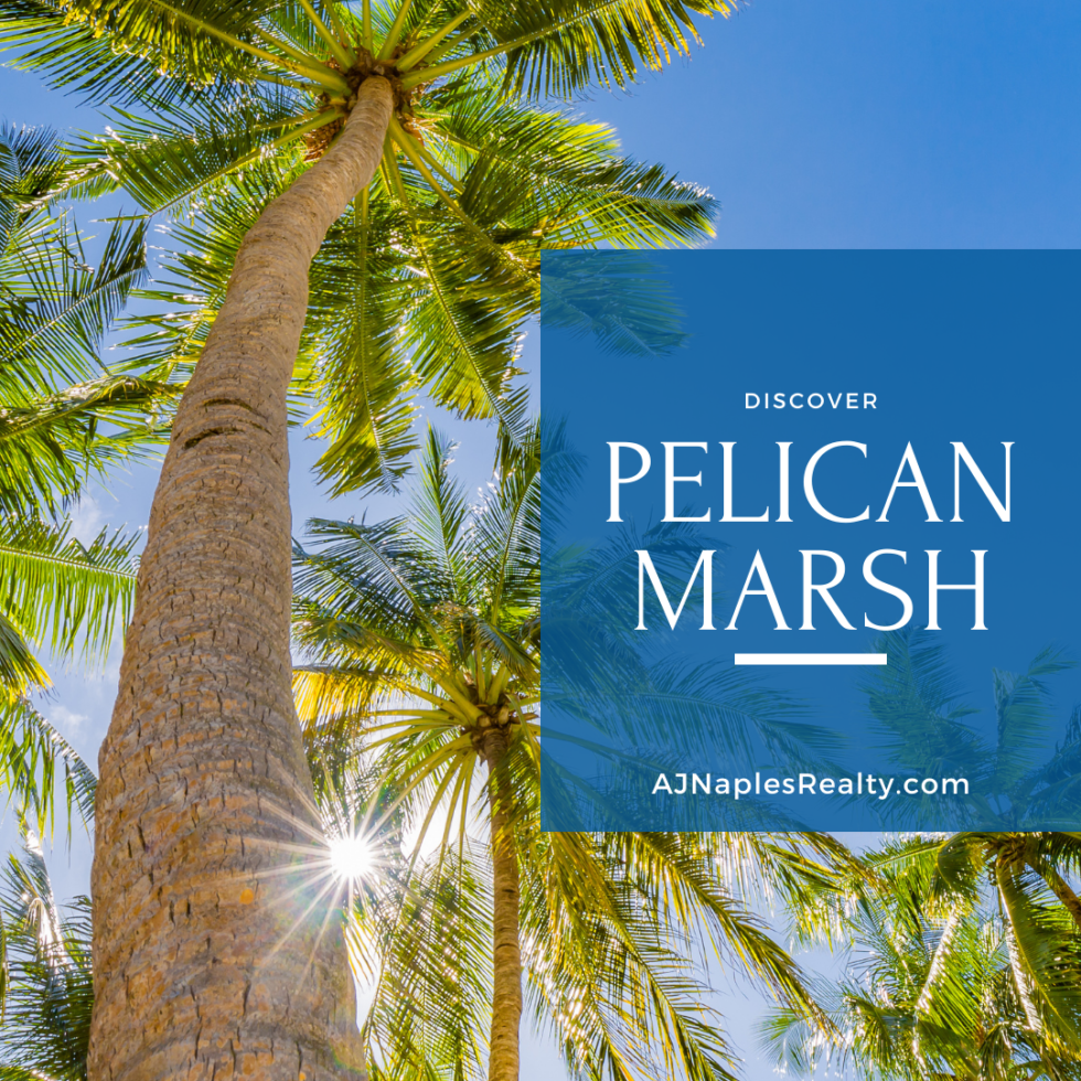 The Complete Guide to Pelican Marsh in Naples, FL Naples Florida Real