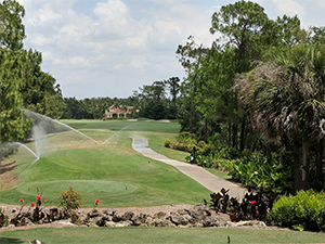 Grey Oaks Florida golf course
