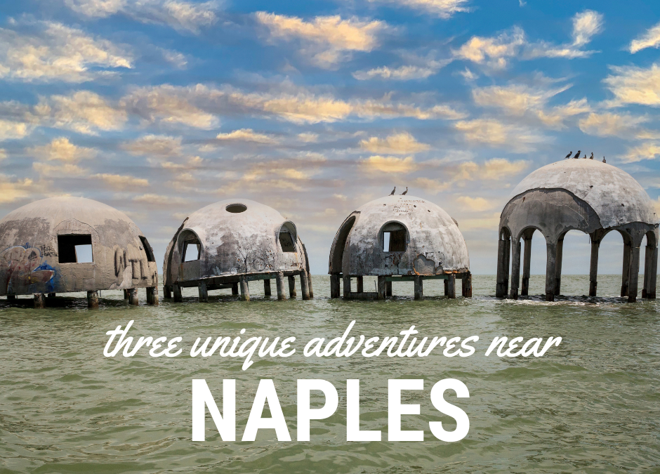 3 Off-the-Beaten Path Adventures Near Naples, FL