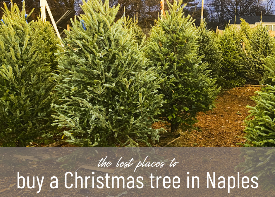 The 4 Best Places to Buy a Christmas Tree in Naples