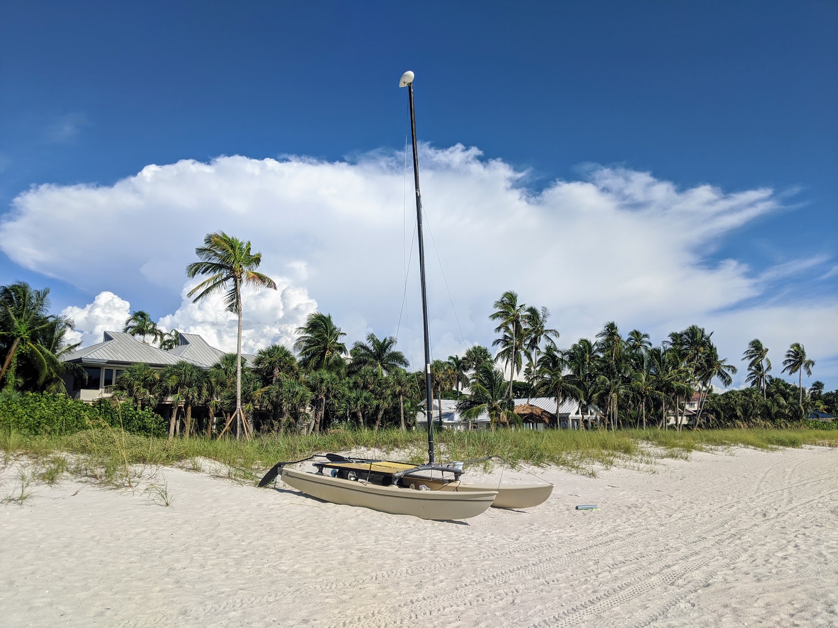 alt="Scenic view of Naples Beach Downtown, Florida with a small sailing boat, white sandy shores, surrounded by palm trees and clear blue skies"
