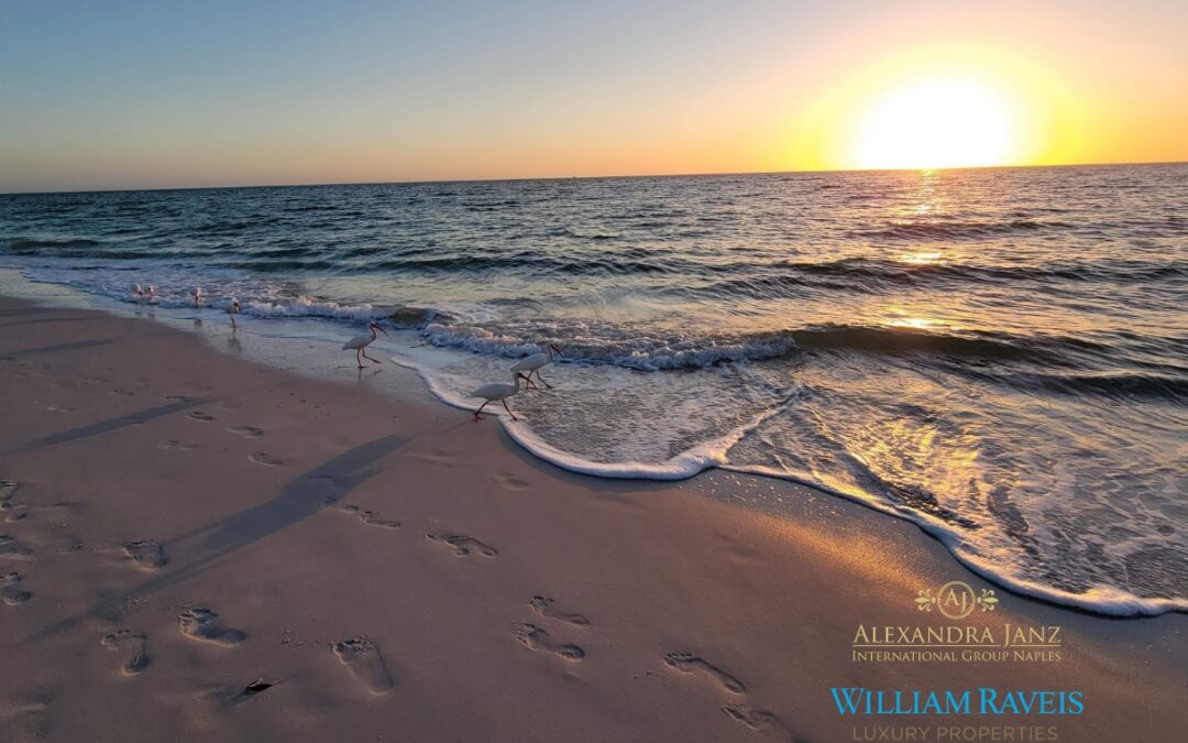 Was clevere Käufer aktuell in Naples, Florida tun (2026 Guide)