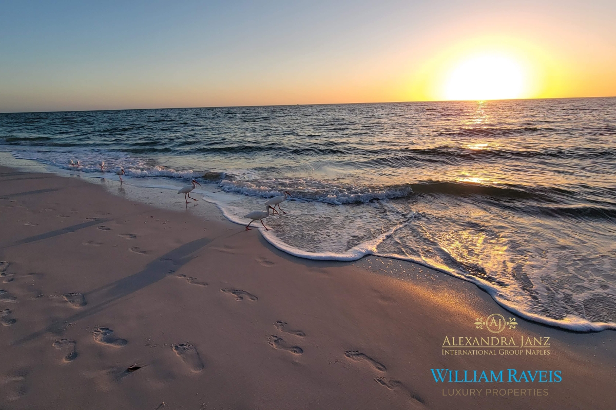 Naples Florida real estate beach sunset lifestyle with luxury coastal views in 2026