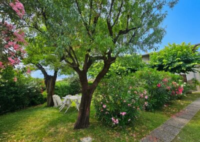 Peaceful garden with mature trees and flowering shrubs at a renovated Italian village home near Desenzano del Garda and Lake Garda, Italy